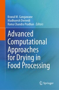 bokomslag Advanced Computational Approaches for Drying in Food Processing