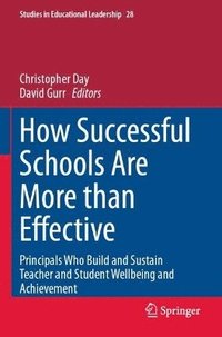 bokomslag How Successful Schools Are More than Effective