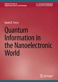 bokomslag Quantum Information in the Nanoelectronic World