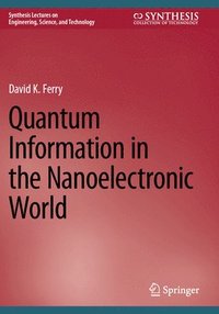 bokomslag Quantum Information in the Nanoelectronic World