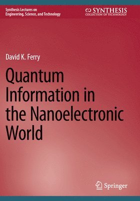 bokomslag Quantum Information in the Nanoelectronic World