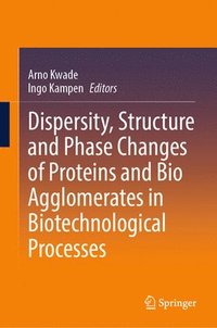 bokomslag Dispersity, Structure and Phase Changes of Proteins and Bio Agglomerates in Biotechnological Processes