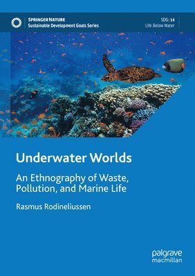 bokomslag Underwater Worlds