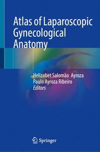 bokomslag Atlas of Laparoscopic Gynecological Anatomy