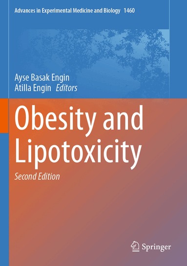 Ayse Basak ENGIN, Atilla ENGIN - Obesity and Lipotoxicity, Häftad