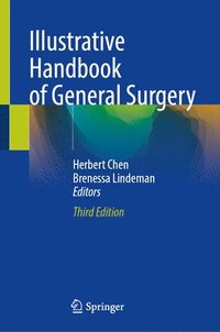 bokomslag Illustrative Handbook of General Surgery