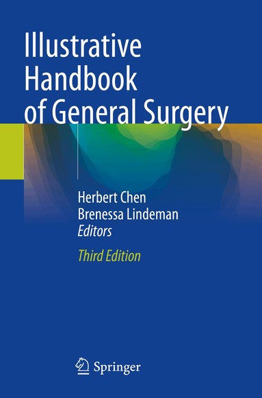 Herbert Chen, Brenessa Lindeman - Illustrative Handbook of General Surgery, Häftad