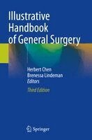 Herbert Chen, Brenessa Lindeman - Illustrative Handbook of General Surgery, Häftad