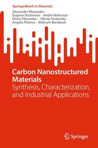 bokomslag Carbon Nanostructured Materials