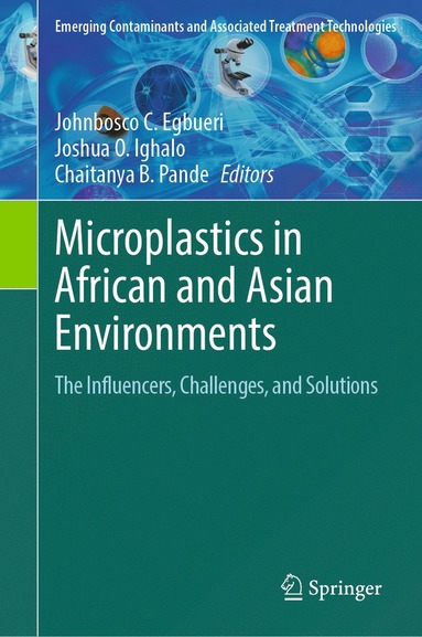 bokomslag Microplastics in African and Asian Environments