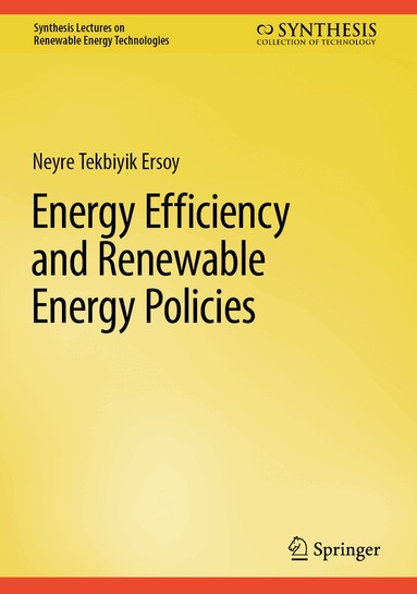 Neyre Tekbıyık Ersoy - Energy Efficiency and Renewable Energy Policies, Inbunden
