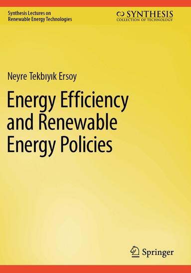 Neyre Tekbıyık Ersoy - Energy Efficiency and Renewable Energy Policies, Häftad