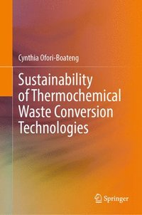 bokomslag Sustainability of Thermochemical Waste Conversion Technologies