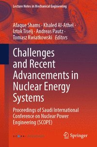 bokomslag Challenges and Recent Advancements in Nuclear Energy Systems