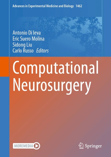 Antonio Di Ieva, Eric Suero Molina, Sidong Liu, Carlo Russo - Computational Neurosurgery, Inbunden