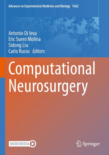 Antonio Di Ieva, Eric Suero Molina, Sidong Liu, Carlo Russo - Computational Neurosurgery, Häftad