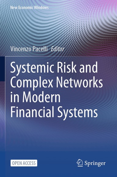 Vincenzo Pacelli - Systemic Risk and Complex Networks in Modern Financial Systems, Häftad