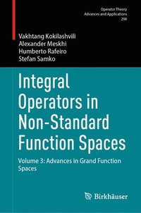 bokomslag Integral Operators in Non-Standard Function Spaces