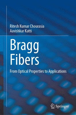 Bragg Fibers 1