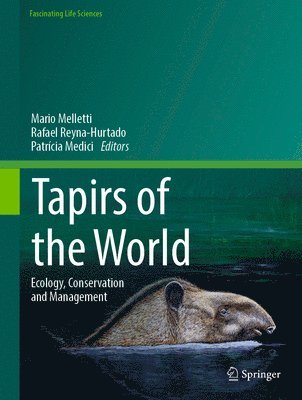 bokomslag Tapirs of the World