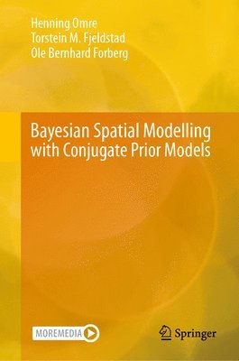 bokomslag Bayesian Spatial Modelling with Conjugate Prior Models