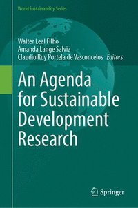 bokomslag An Agenda for Sustainable Development Research