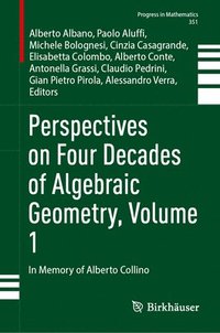 bokomslag Perspectives on Four Decades of Algebraic Geometry, Volume 1