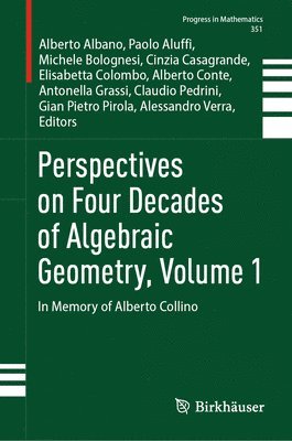 bokomslag Perspectives on Four Decades of Algebraic Geometry, Volume 1