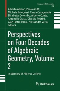 bokomslag Perspectives on Four Decades of Algebraic Geometry, Volume 2