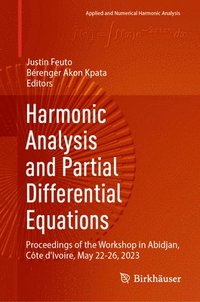 bokomslag Harmonic Analysis and Partial Differential Equations