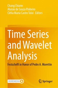 bokomslag Time Series and Wavelet Analysis