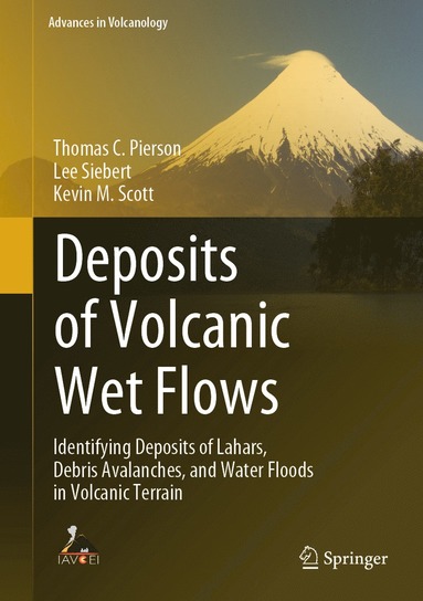 bokomslag Deposits of Volcanic Wet Flows