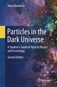 bokomslag Particles in the Dark Universe