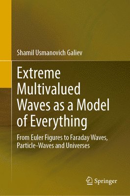 Extreme Multivalued Waves as a Model of Everything 1