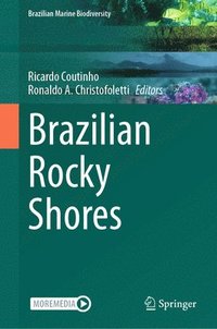 bokomslag Brazilian Rocky Shores