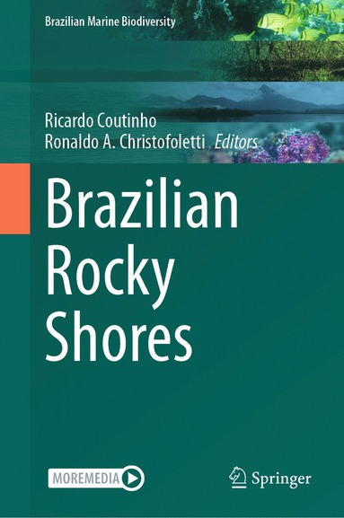 bokomslag Brazilian Rocky Shores