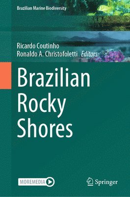 Brazilian Rocky Shores 1