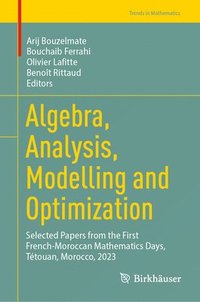 bokomslag Algebra, Analysis, Modelling and Optimization