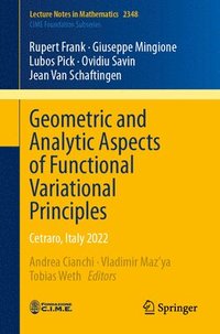 bokomslag Geometric and Analytic Aspects of Functional Variational Principles