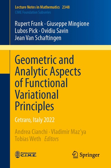 Rupert Frank, Giuseppe Mingione, Lubos Pick, Ovidiu Savin, Jean Van Schaftingen, Andrea Cianchi, Vladimir Maz'ya, Tobias Weth - Geometric and Analytic Aspects of Functional Variational Principles, Häftad
