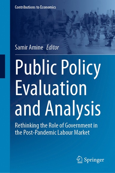 bokomslag Public Policy Evaluation and Analysis