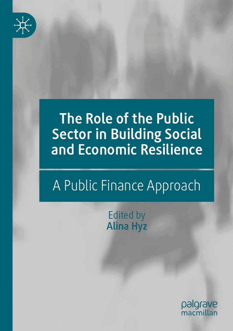 Alina Hyz - Role of the Public Sector in Building Social and Economic Resilience, Häftad