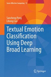 bokomslag Textual Emotion Classification Using Deep Broad Learning