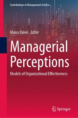 Managerial Perceptions 1