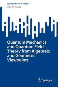 bokomslag Quantum Mechanics and Quantum Field Theory from Algebraic and Geometric Viewpoints