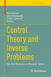 bokomslag Control Theory and Inverse Problems