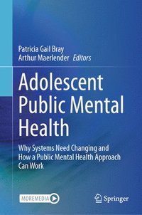 bokomslag Adolescent Public Mental Health