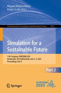 bokomslag Simulation for a Sustainable Future