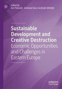 bokomslag Sustainable Development and Creative Destruction