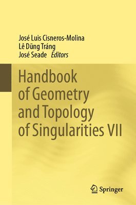 bokomslag Handbook of Geometry and Topology of Singularities VII